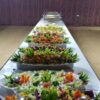 Salads at the campsite of desert safari
