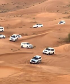 morning desert safari dubai dune drifters