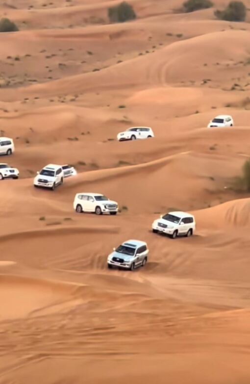 morning desert safari dubai dune drifters