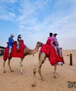 camel-caravan-riders-dubai-desert-camp with desert safari in dubai price camel ride in dubai desert safari - Website handled by mustajabhub.com