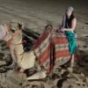 camel riding dubai desert tour after sunset august 2023