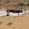 desert safari with VIP Majlis for private events
