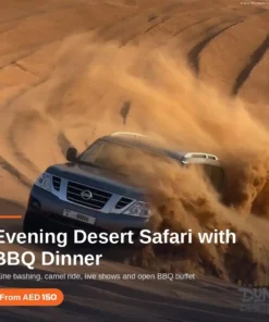 evening-safari-bbq-product-main-image-150-AED