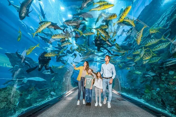 Aquarium and Underwater Zoo
