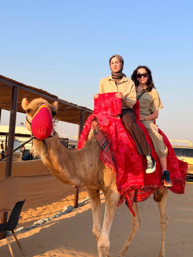 desert safari by dune drifters -dubai evening desert safari with bbq dinner- desert safari package- services and seo by mustajabhub.com.