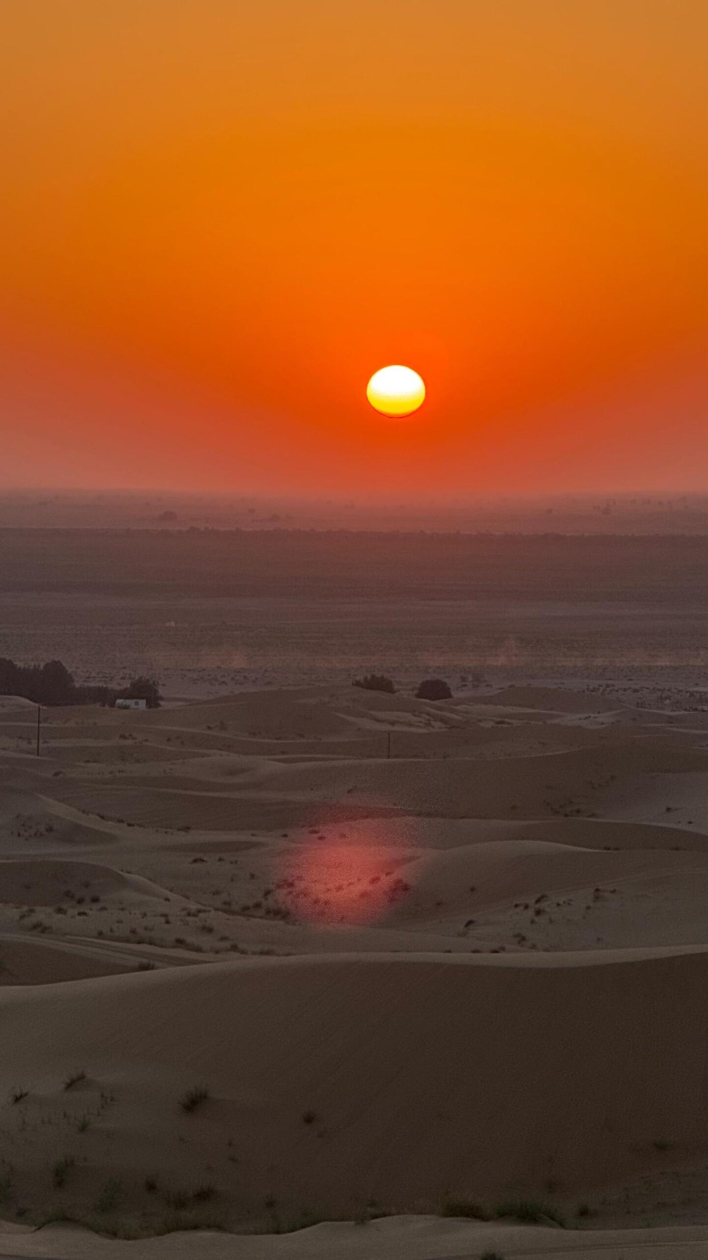 desert safari dubai price by dune drifters - dubai sightseeing packages- desert safari tour- services by mustajabhub.com. At MustajabHub, we don’t just share insights — we help brands grow. Explore our expert services in Website Development, Digital Marketing, and Amazon Store Management to take your business online with confidence.