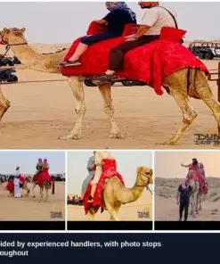 Camel Safari 8 Couples and families camel riding with handlers in the Dubai desert