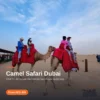 Camel Safari 10 Guests riding camels across the red dunes on a Dubai camel safari