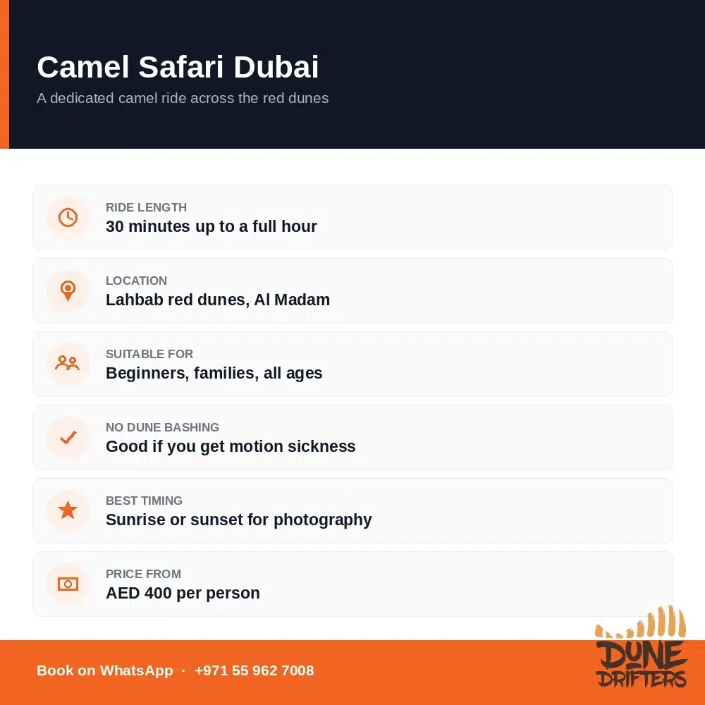 Camel Safari 2 Camel safari Dubai details — ride length, location, suitability and price